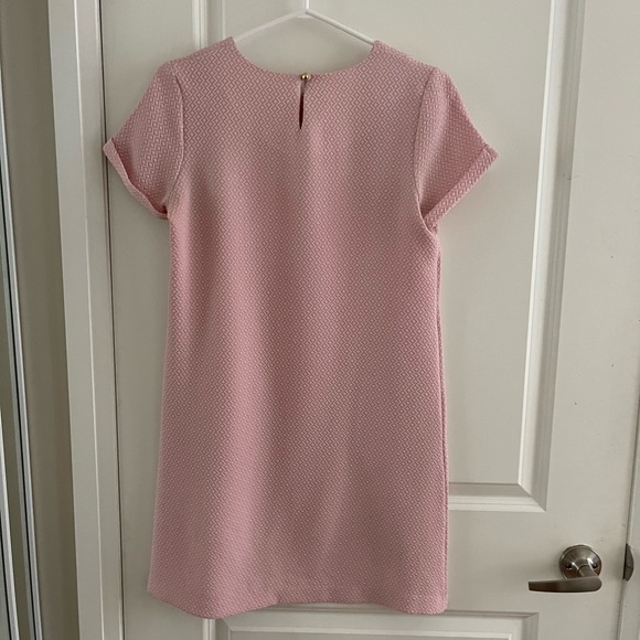 Ann Taylor Pink Shift Dress - size S - Picture 2 of 2